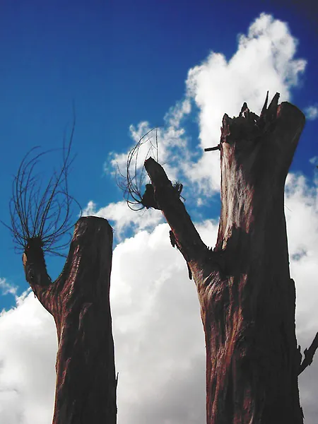 Dead Twins