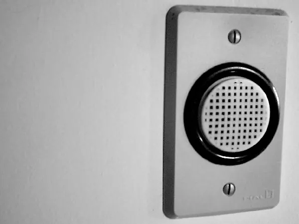 Plug Straniero