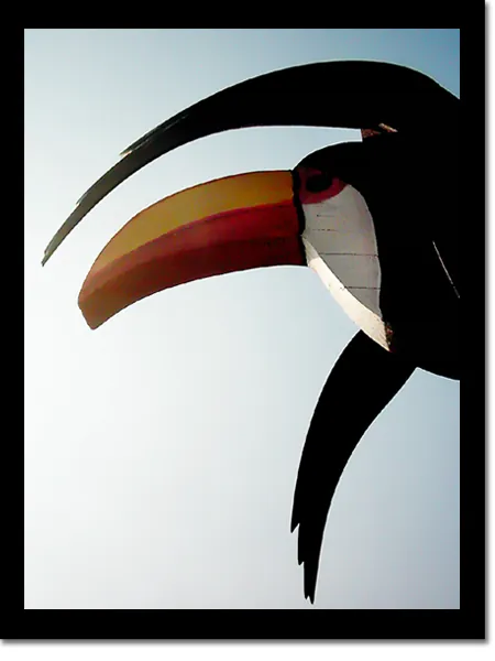 Tucano