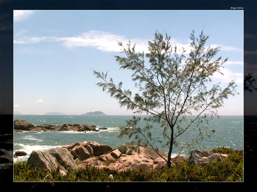 Praia da Armação, Florianópolis, 2005