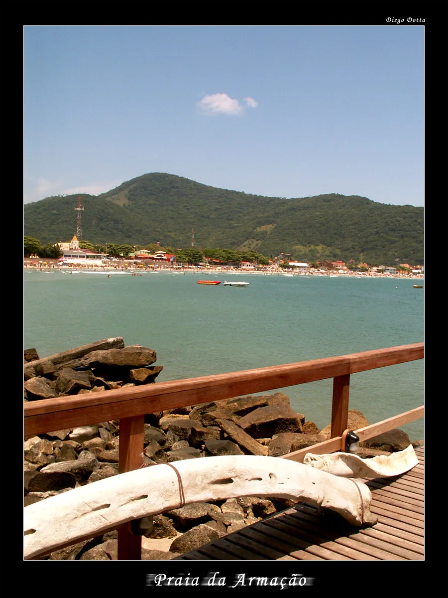 Praia da Armação, 2005