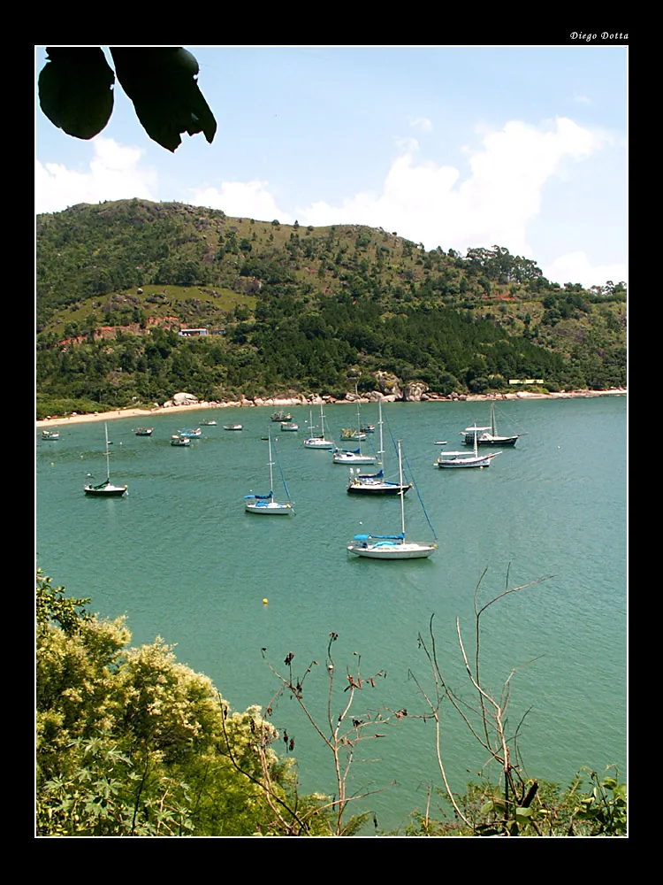 Rumo a Itapema, 1ª Tentativa, 2005