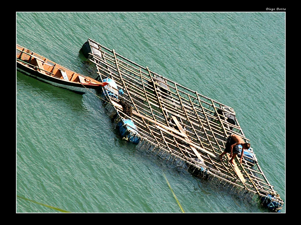 Rumo a Itapema, 1ª Tentativa, 2005