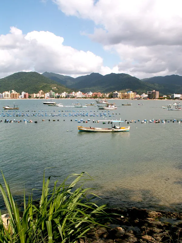Recanto, 2005