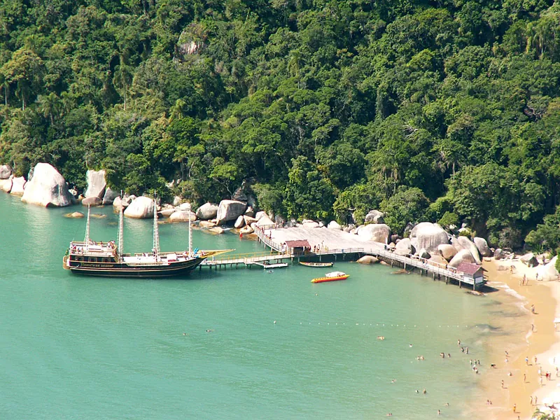 Trapiche, 2005