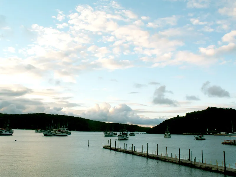 Porto Belo, 2005
