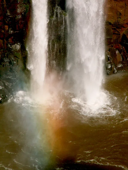 A Criação, 2005
