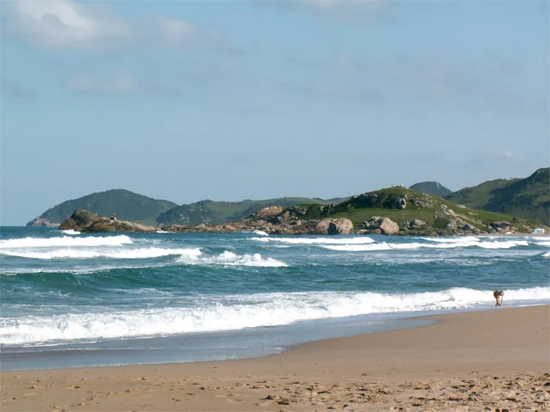 Praia da Ferrugem, 2005