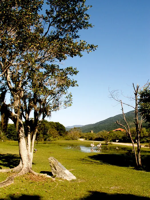 Parque da Serra do Tabuleiro, 2005
