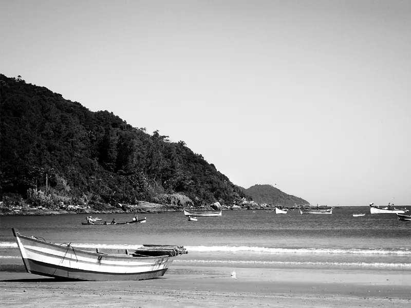 Pântano do Sul, 2005