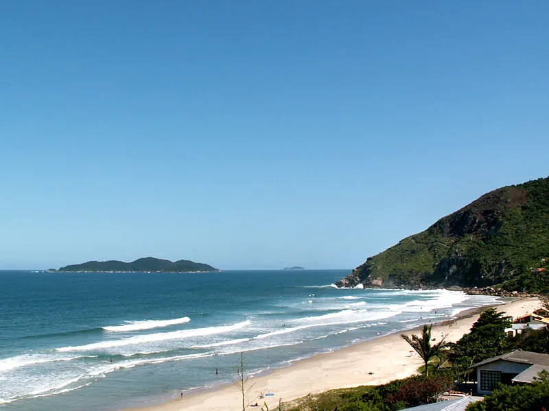 Solidão, 2005