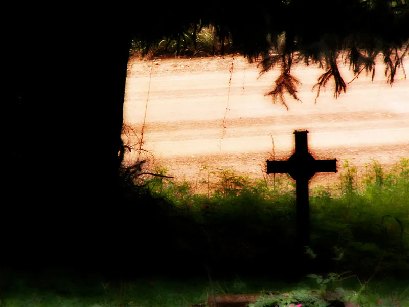 Cemitério perdido, 2005