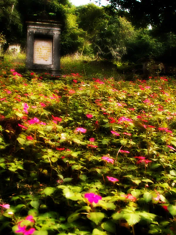 Cemitério perdido, 2005