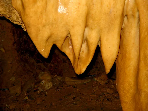 Grutas de Botuverá, 2005
