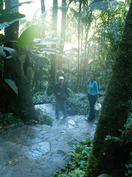 Grutas de Botuverá, 2005