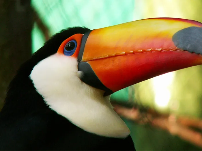 Zoo, 2005