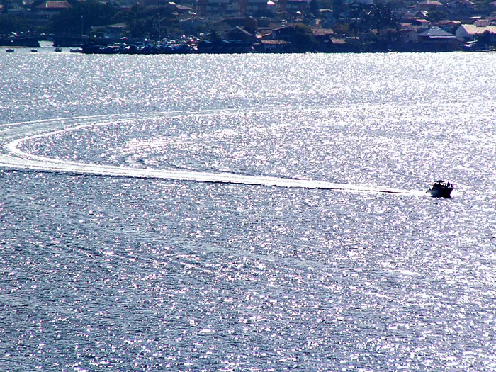 Um passeio, 2005