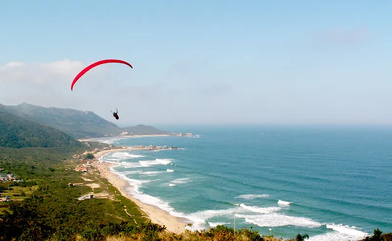 Praia mole, 2005
