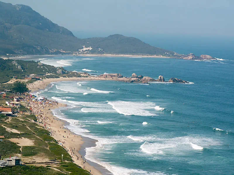 Praia mole, 2005