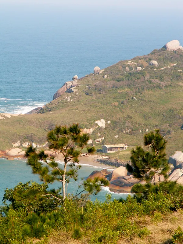 Casa de praia, 2005