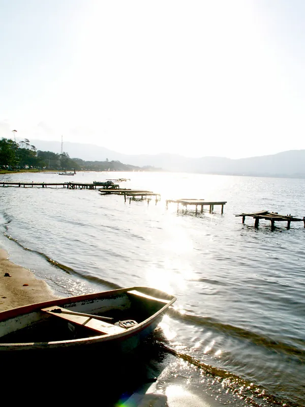Belo fim, 2005