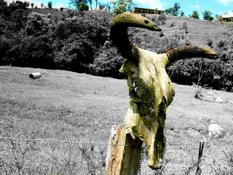 Guardião, 2006