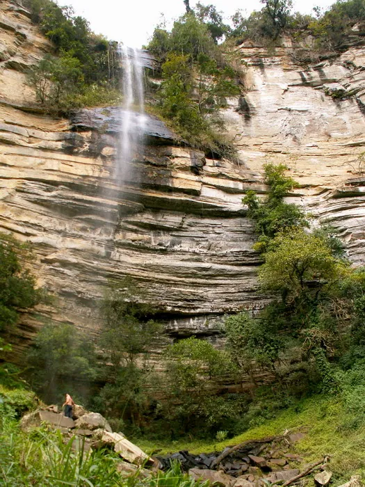 Em busca das padarias encantadas, 2006