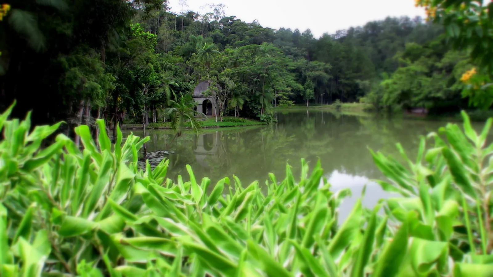 Northern Santa Catarina, 2009