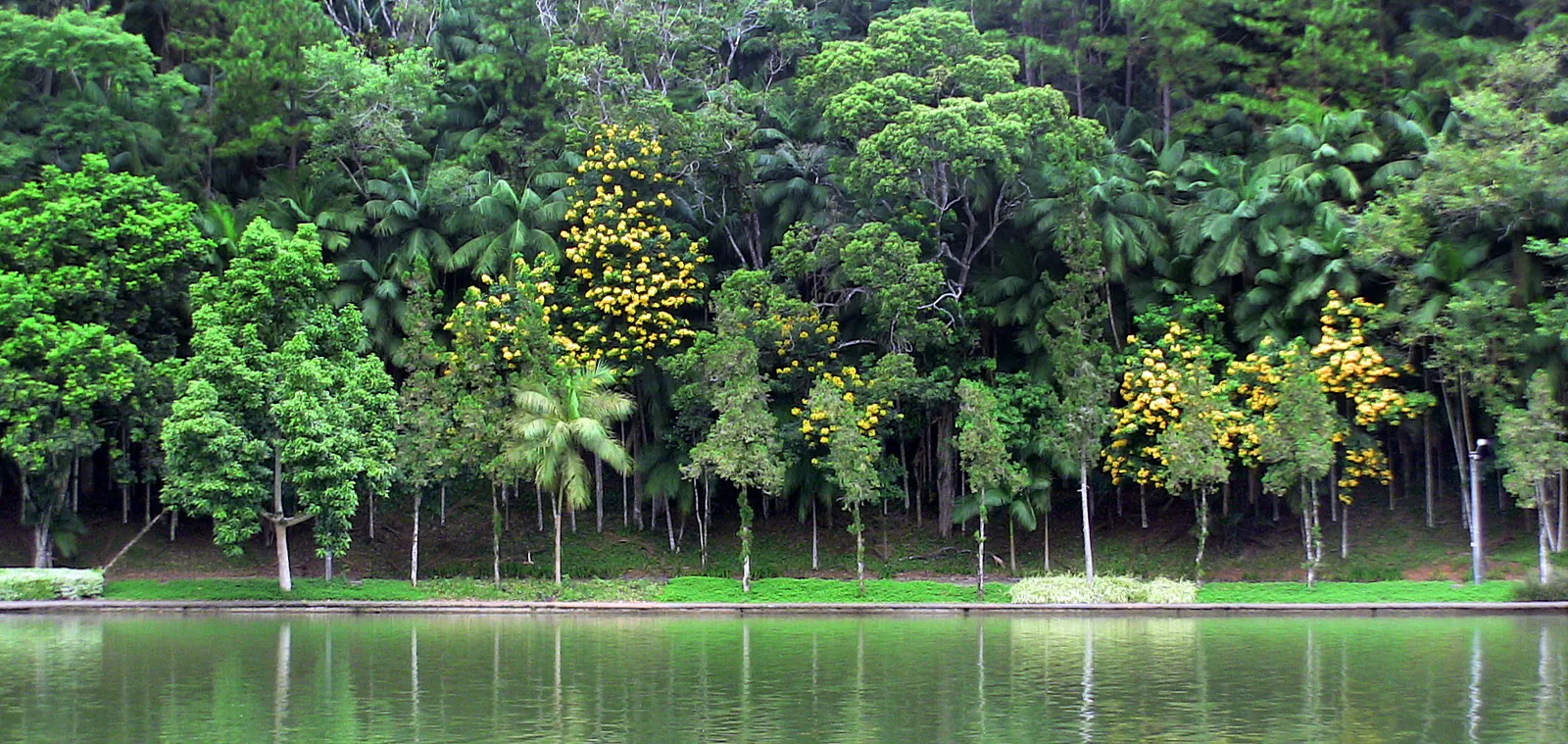 Northern Santa Catarina, 2009