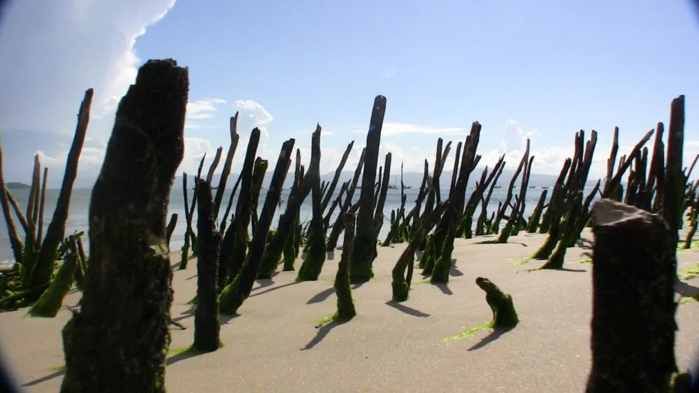 Around Florianópolis island, 2009