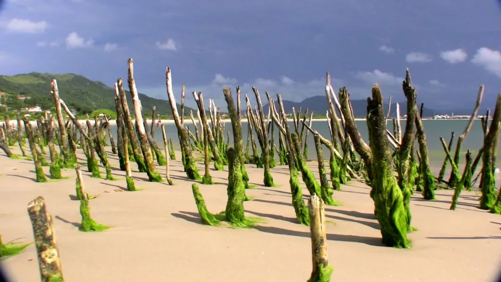 Around Florianópolis island, 2009