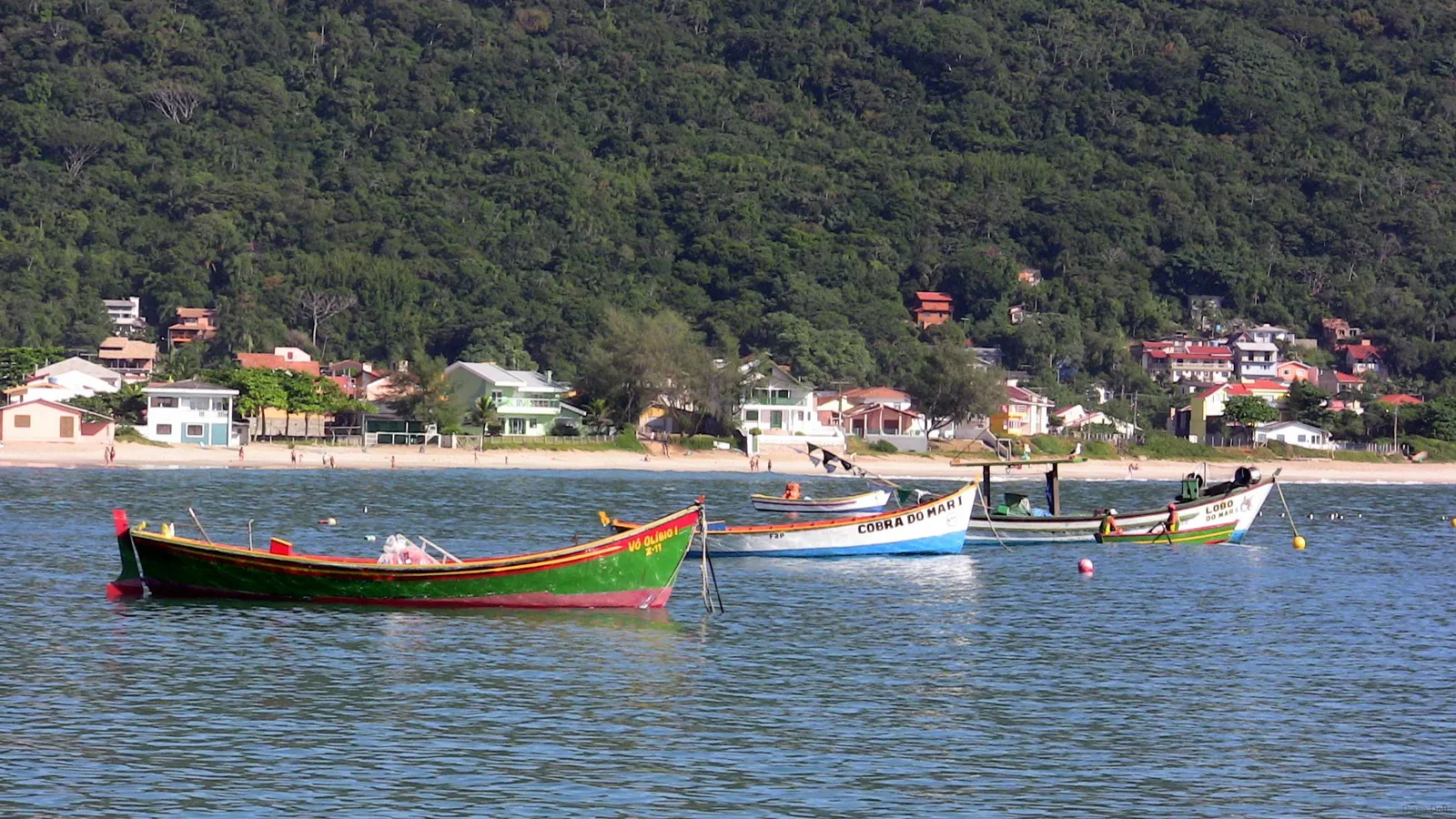 Ilha do Campeche, 2009