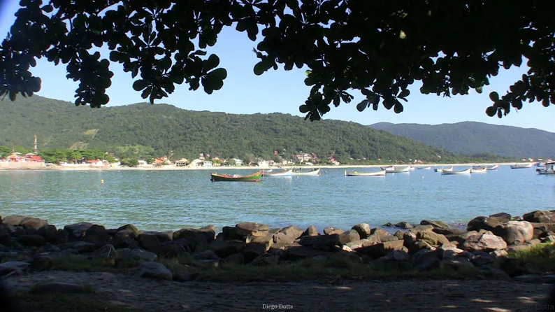 Ilha do Campeche, 2009