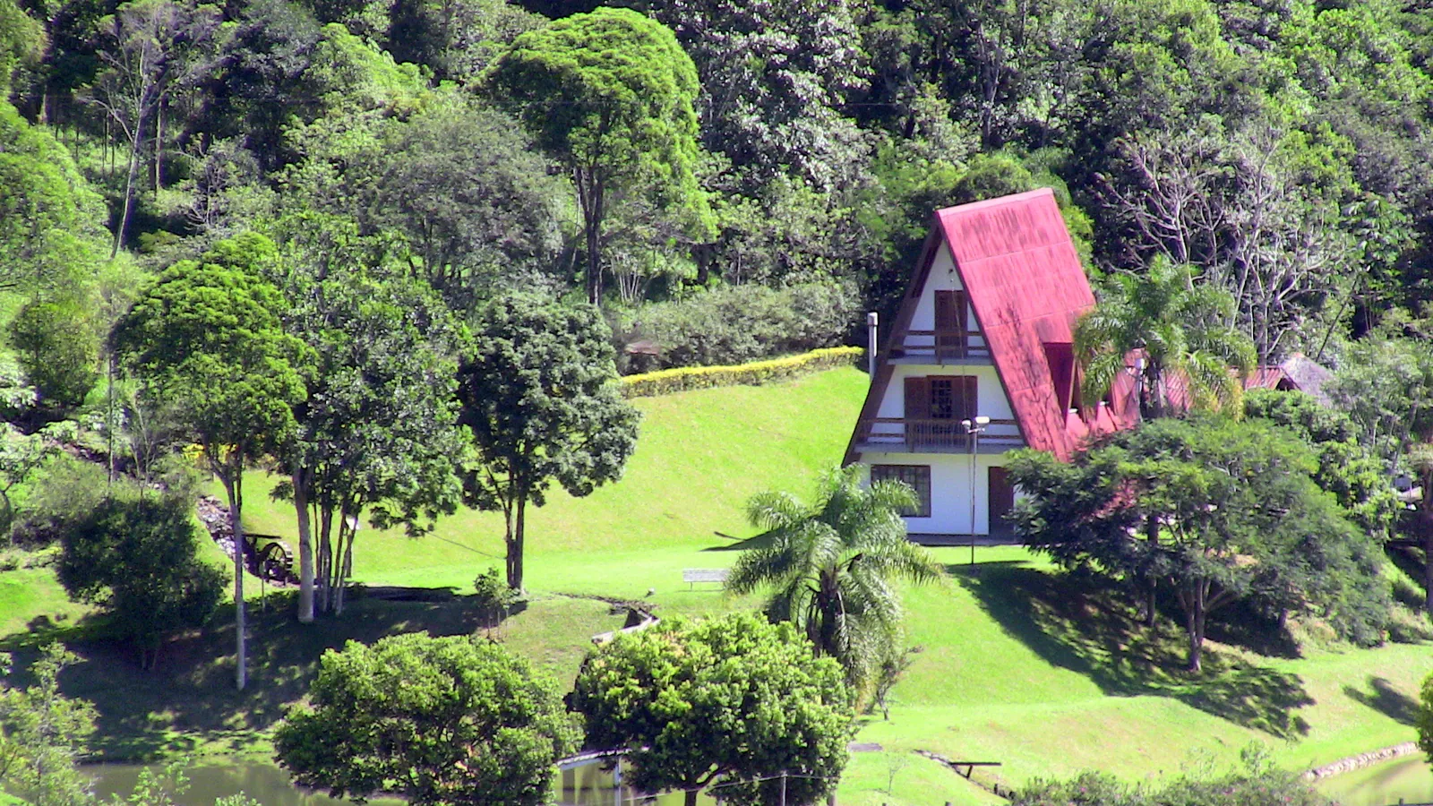 São Martinho, 2009