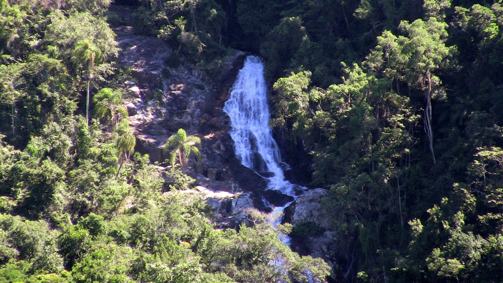 São Martinho, 2009