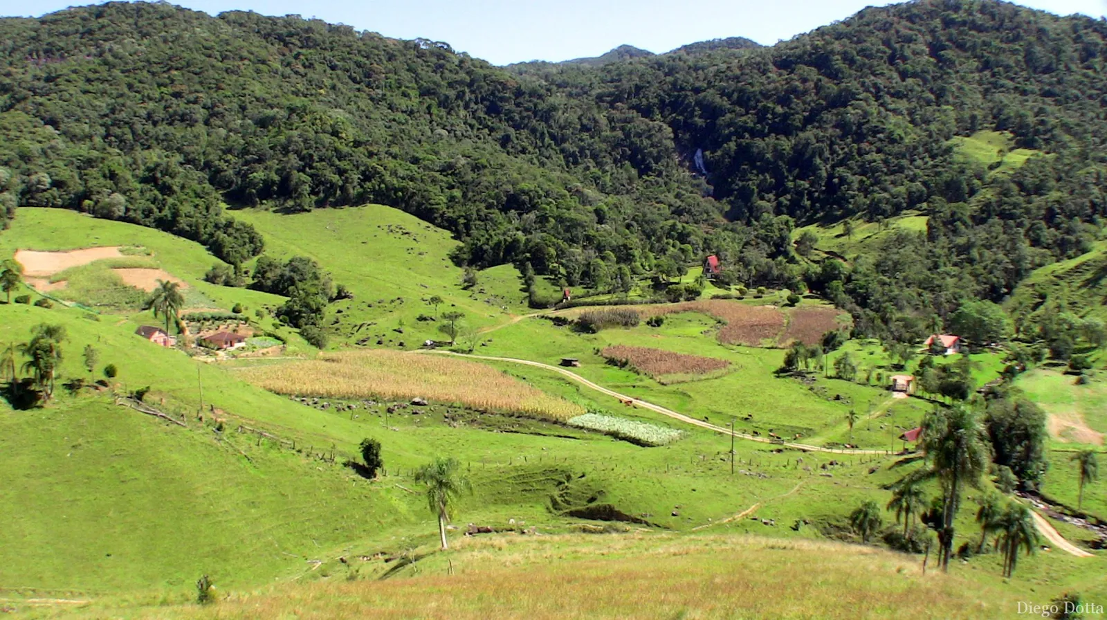 São Martinho, 2009