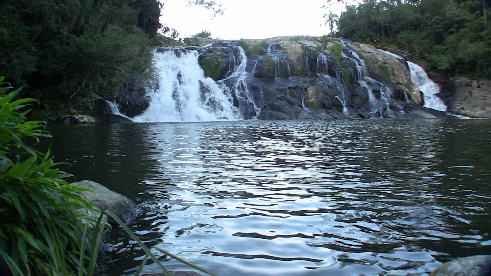 São Martinho, 2009