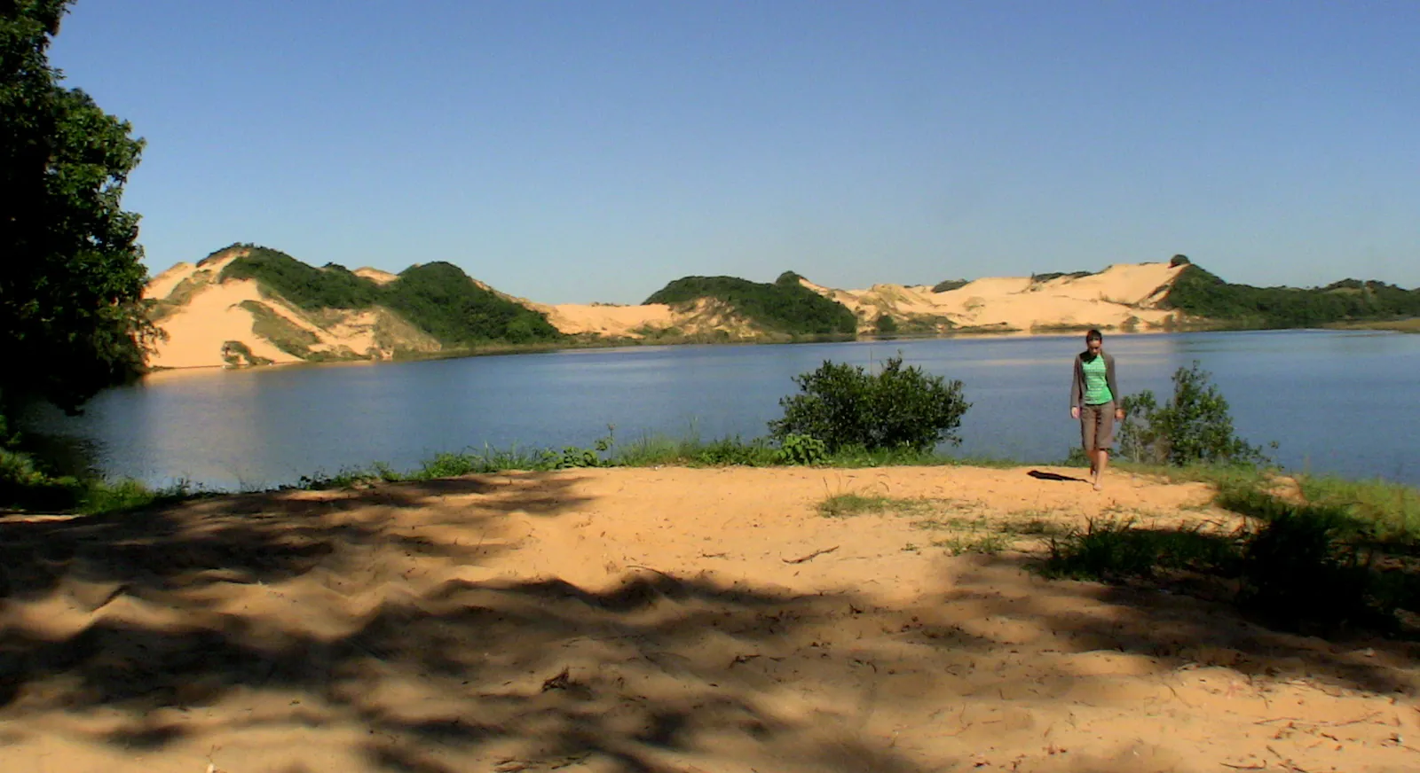 São Martinho, 2009