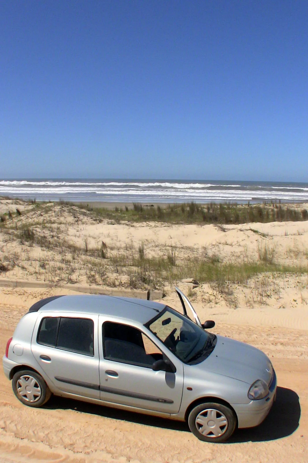 São Martinho, 2009