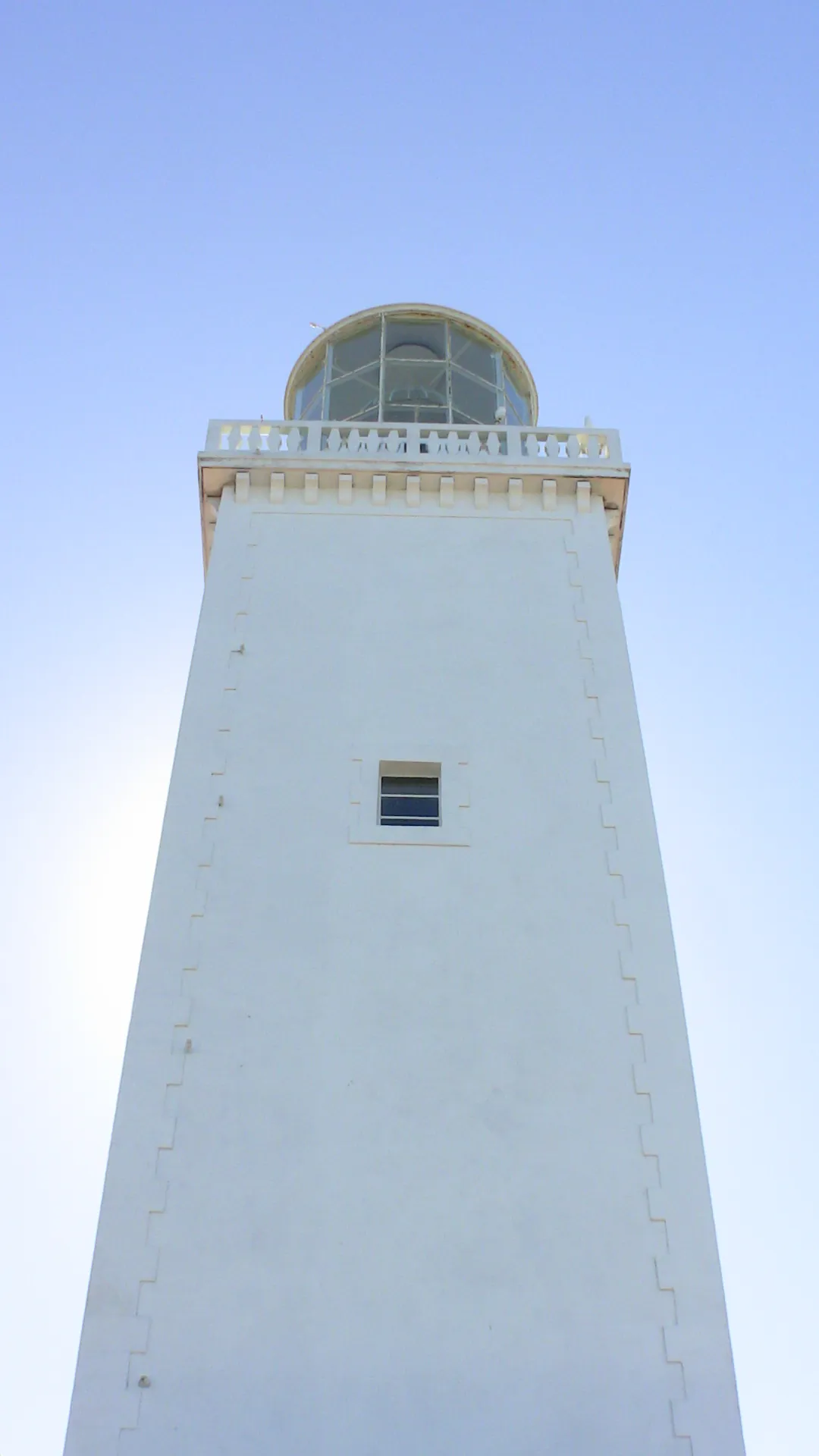 São Martinho, 2009