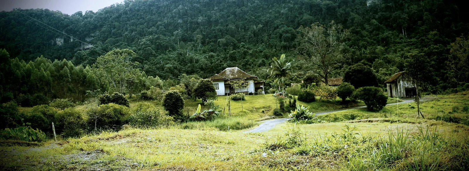 Witmarsum, 2011