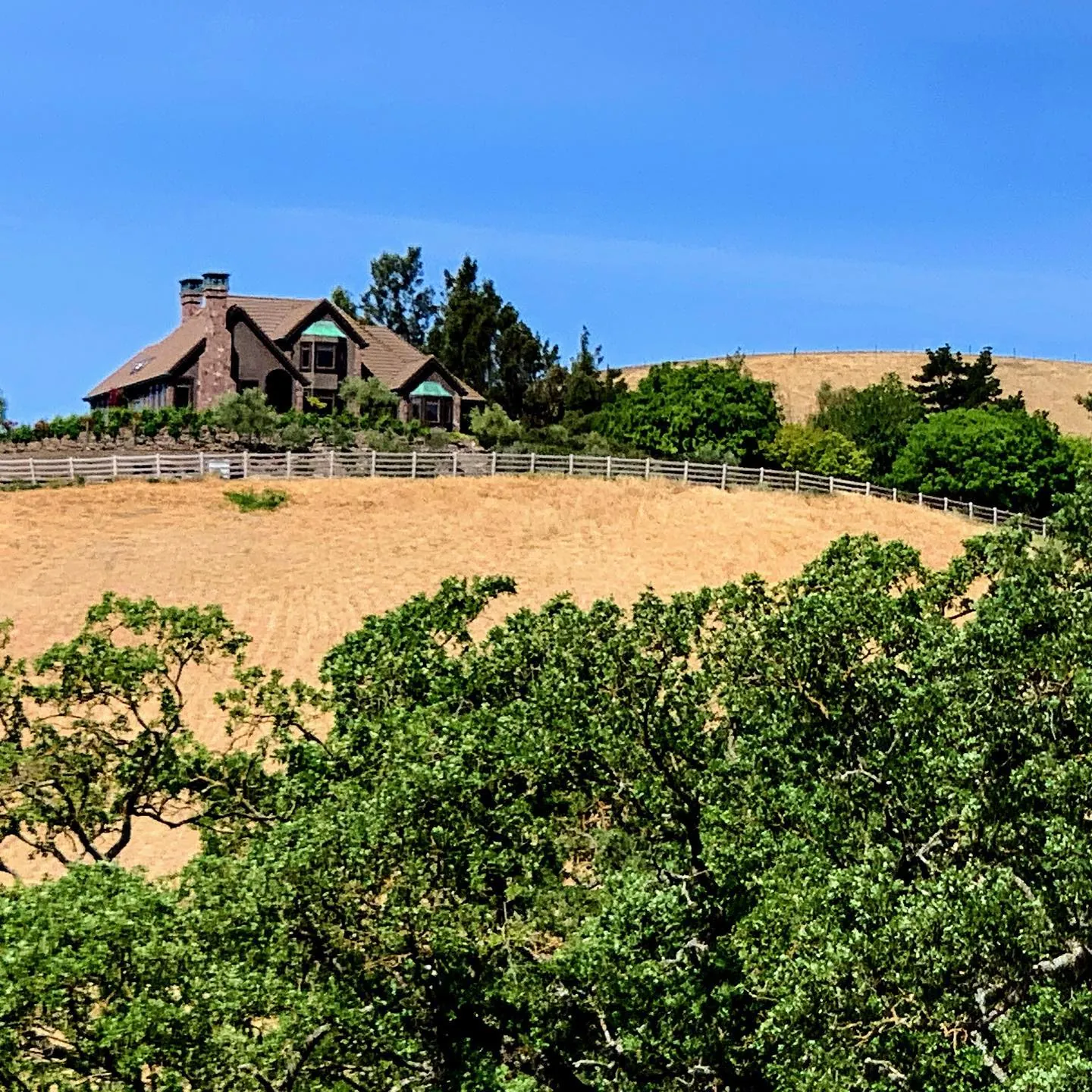 A big house on top of a hill, above green bushes and dry grass.