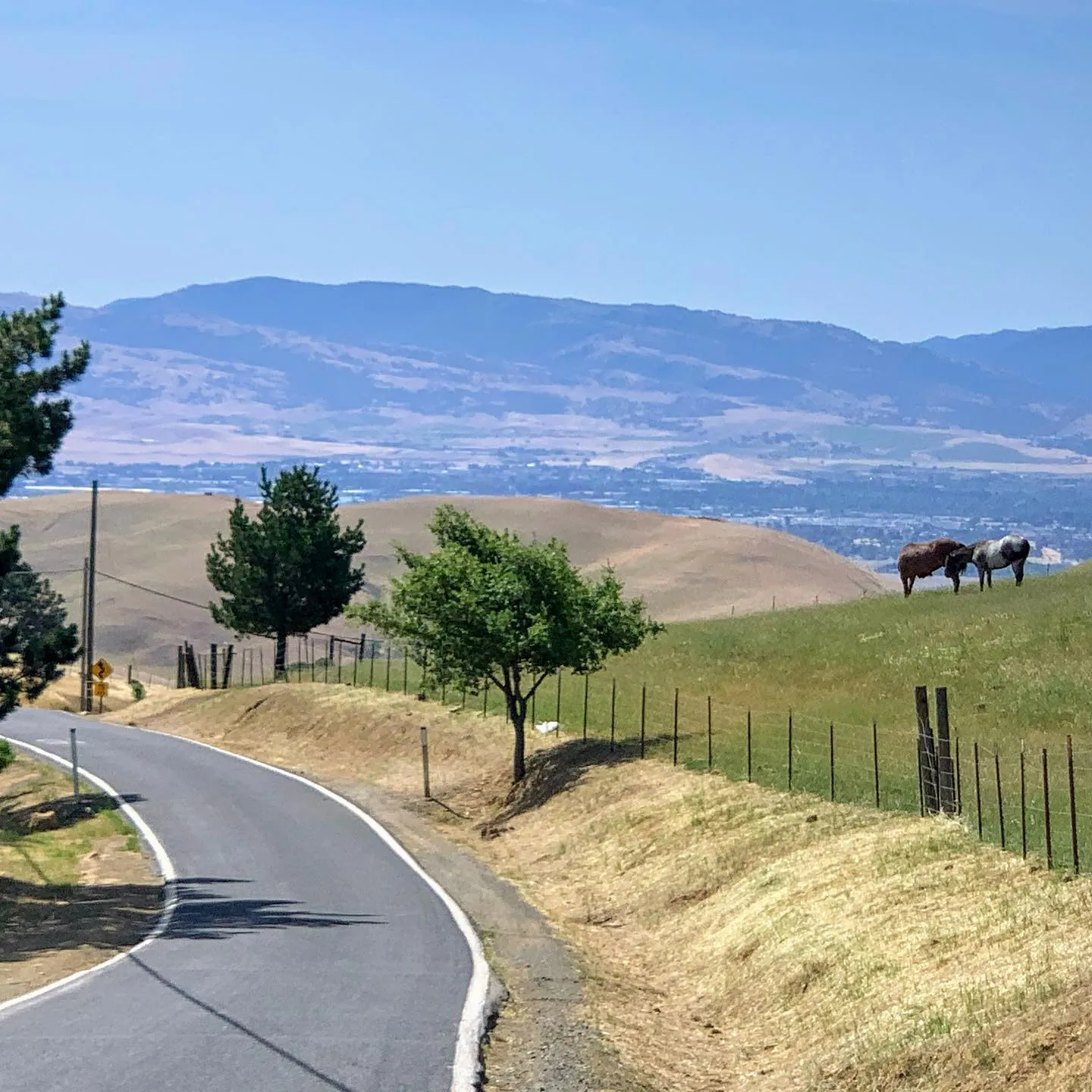 A narrow road curving past a fence where two horses graze, with mountains behind.