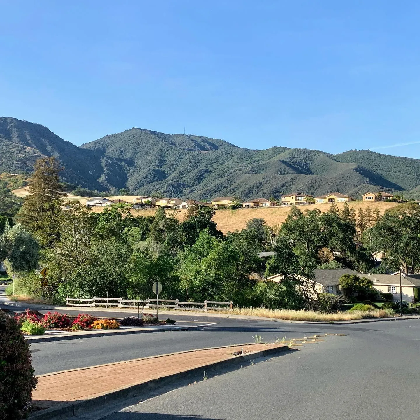 Green mountains over a quiet suburban road.
