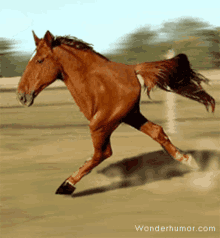 Animated GIF of a chestnut horse galloping across a field with only its front half, the back half simply missing.