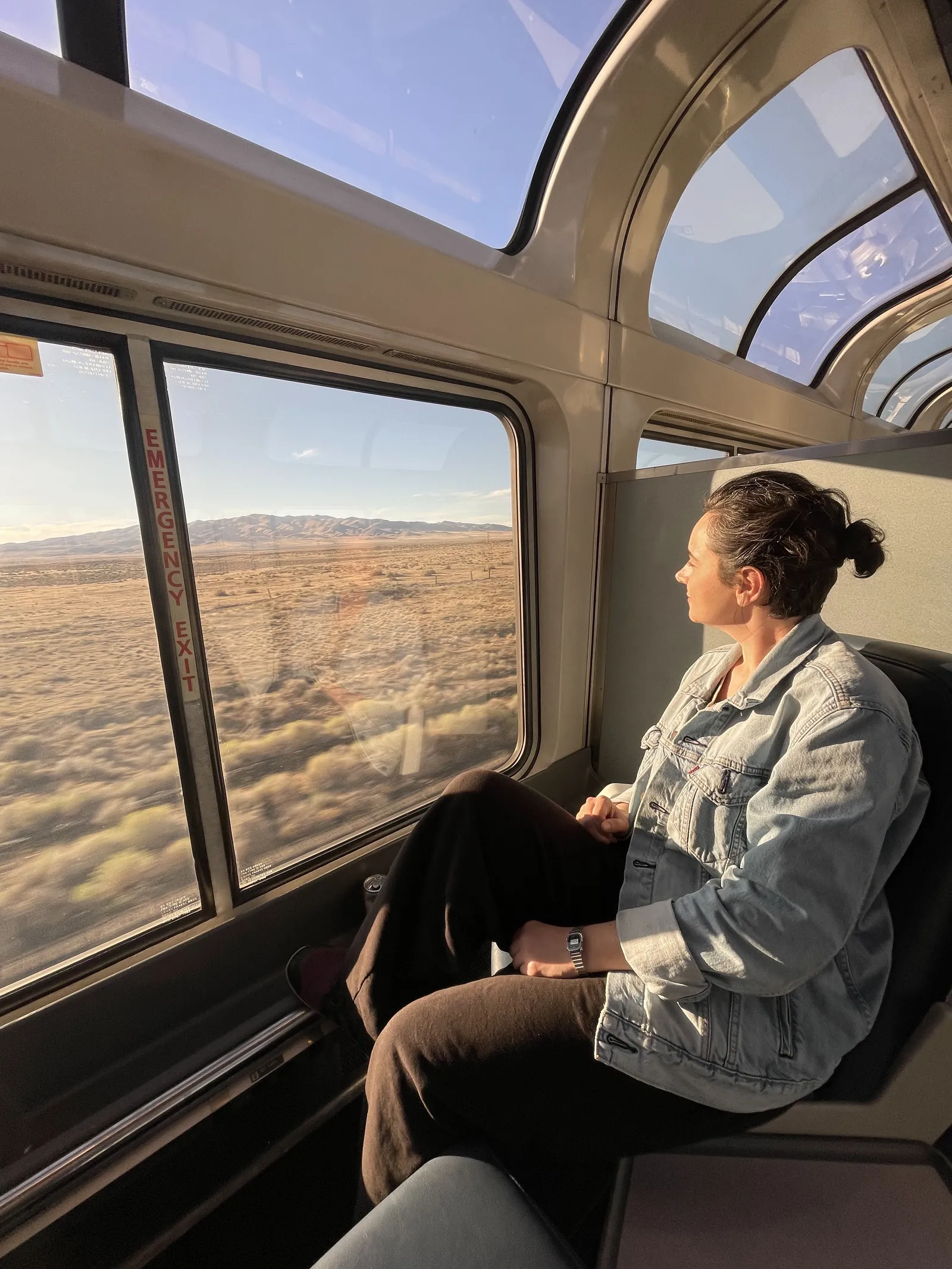 Leandra in a denim jacket sitting by the big window of a train observation car, looking out at dry desert scrub and brown hills