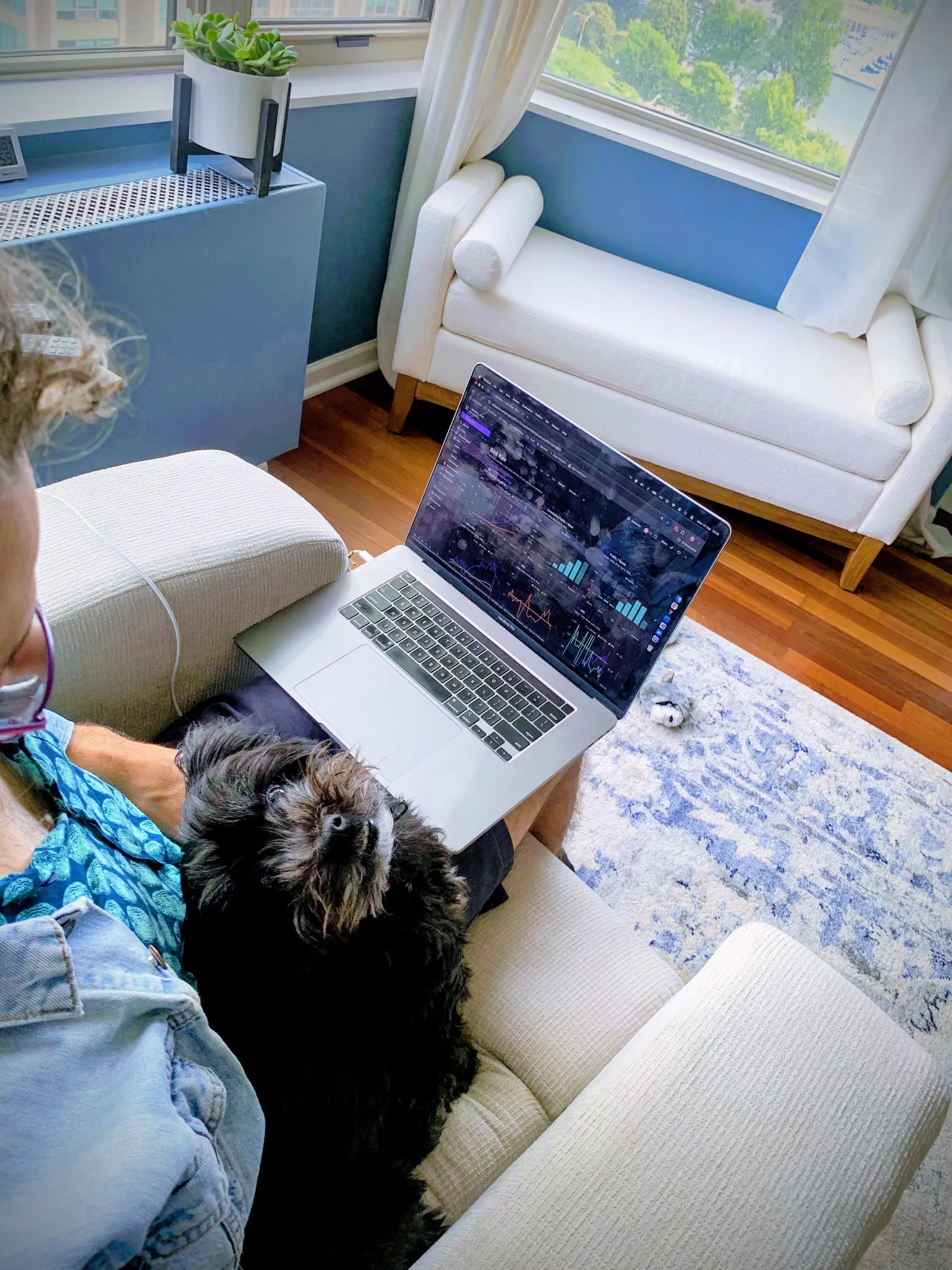 Over the shoulder view of Diego on an armchair with a laptop full of ad charts and a small black scruffy dog on his lap looking up at him, a window to a lakeside park behind